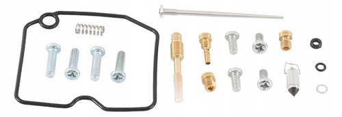 Vergaser reparatursatz arctic - vergaser-reparatursatz,