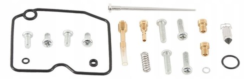 Vergaser reparatursatz arctic - vergaser-reparatursatz,